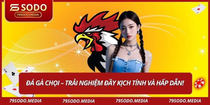 Đá gà chọi – Trải nghiệm đầy kịch tính và hấp dẫn!