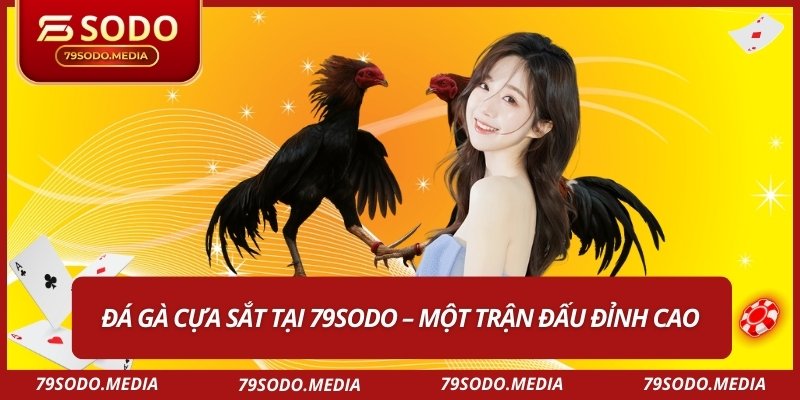 Đá gà cựa sắt tại 79SODO – Một trận đấu đỉnh cao