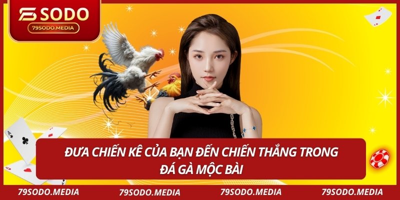 Đưa chiến kê của bạn đến chiến thắng trong đá gà mộc bài