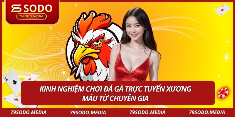 Kinh nghiệm chơi đá gà trực tuyến xương máu từ chuyên gia