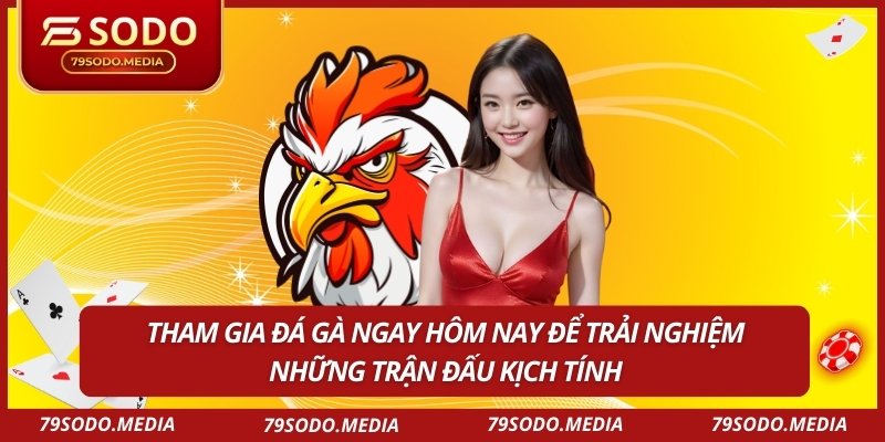 Tham gia đá gà ngay hôm nay để trải nghiệm những trận đấu kịch tính