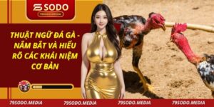 Thuật Ngữ Đá Gà