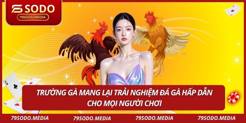 Trường gà mang lại trải nghiệm đá gà hấp dẫn cho mọi người chơi